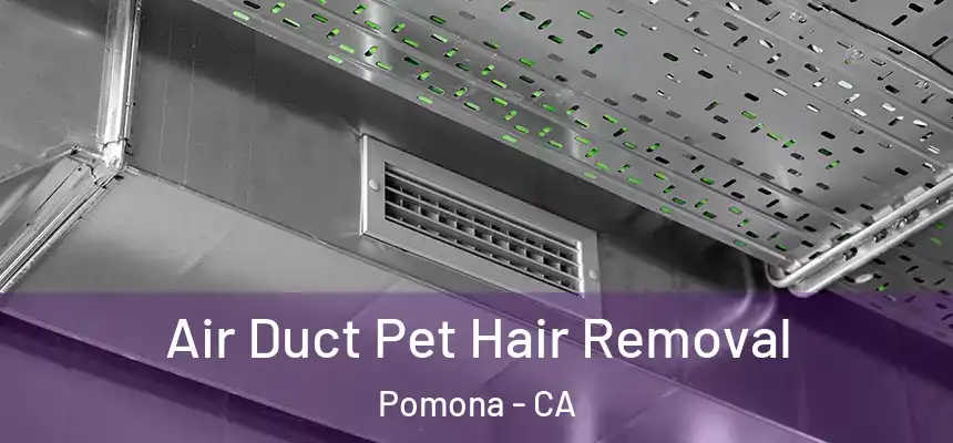  Air Duct Pet Hair Removal Pomona - CA