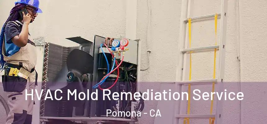  HVAC Mold Remediation Service Pomona - CA