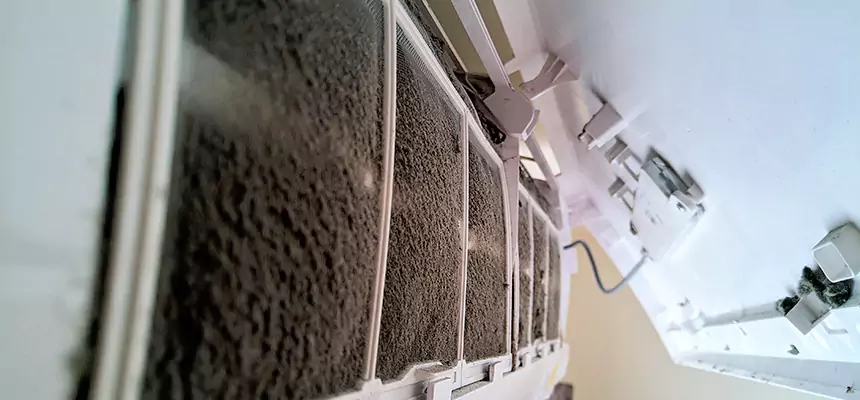 Preventive Air Duct Bacteria Removal in Pomona