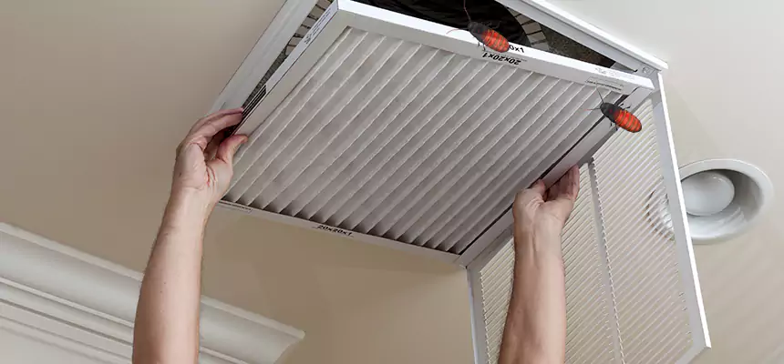 Preventive Cockroach-Proofing for Ducts in Pomona