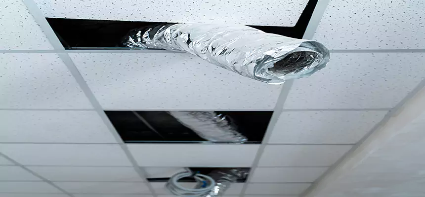 Our Air Duct Pet Hair Removal Services in Pomona, CA