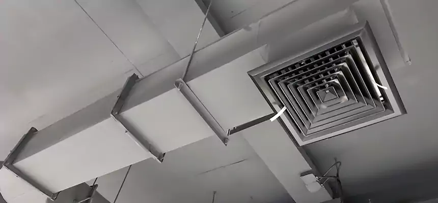 Our Pest Removal From Ducts Services in Pomona, CA