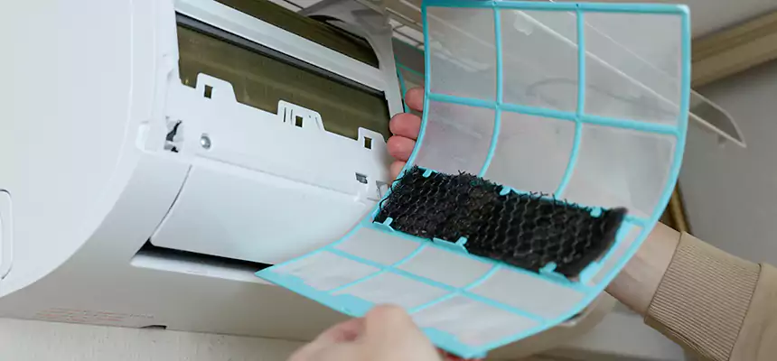 Gentle Ductwork Odor-Control Pet Dander Duct Cleaning in Pomona, CA