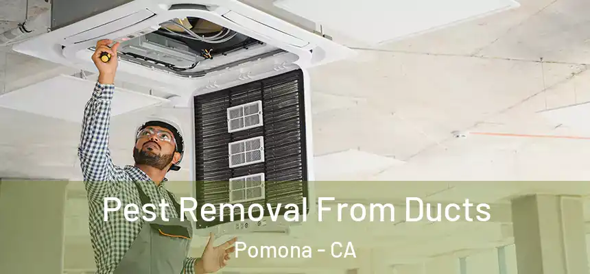 Pest Removal From Ducts Pomona - CA