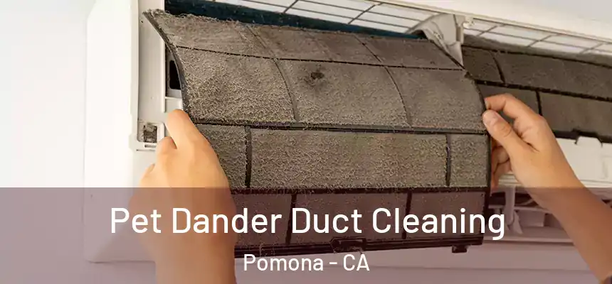 Pet Dander Duct Cleaning Pomona - CA