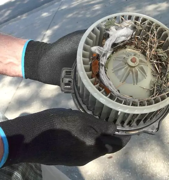 About Air Duct Mice Removal in Pomona, CA