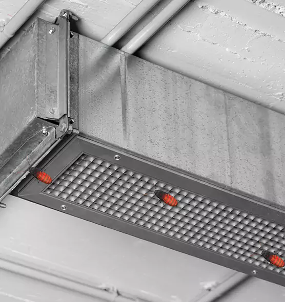 Affordable Insect Removal from Air Ducts in Pomona, CA