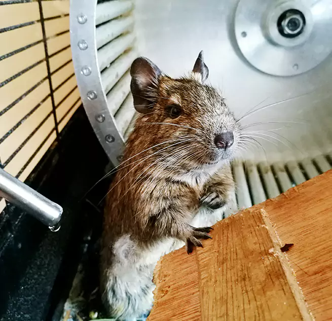 Why Homeowners & Businesses Trust Us Pomona, CA?