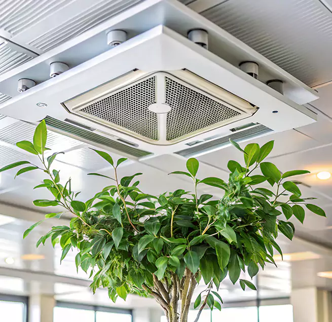 Why Homeowners & Businesses Trust Us in Pomona, CA?